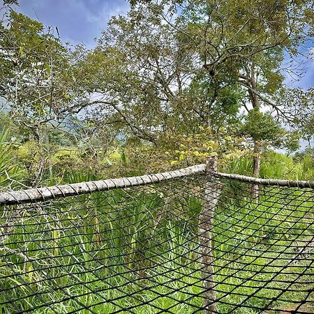 Finca Ecoparaiso Ibagué Exterior foto